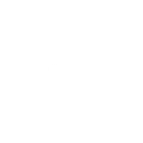 The Technologist